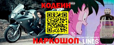 шишки Новодвинск