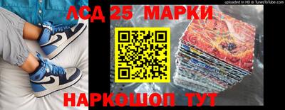 шишки Новодвинск