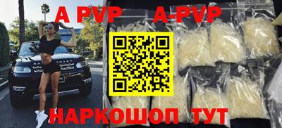 шишки Новодвинск