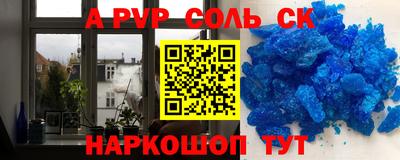 шишки Новодвинск