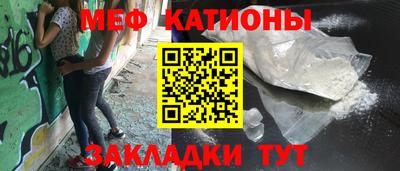 шишки Новодвинск