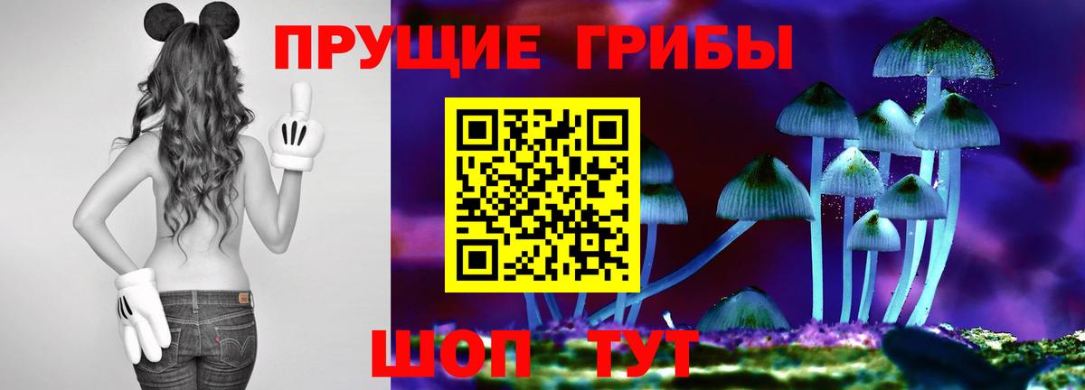 Галлюциногенные грибы Magic Shrooms Рязань